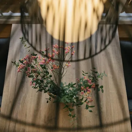 Sunapart By Apart4you Апартаменты Хаус-им-Энншталь